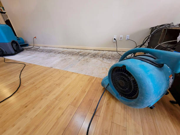 Professional Basement Flood Cleanup technician working in Happy Valley, CA